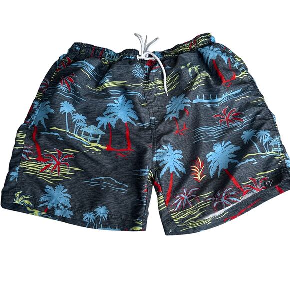 Vertical Sport swim shorts - Picture 1 of 7